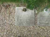 image of grave number 461431